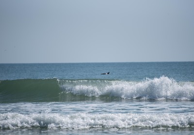 5 Fun Facts About New Smyrna Beach