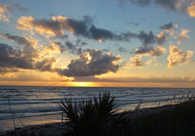 5 Fun and Exciting Things to Do in New Smyrna Beach